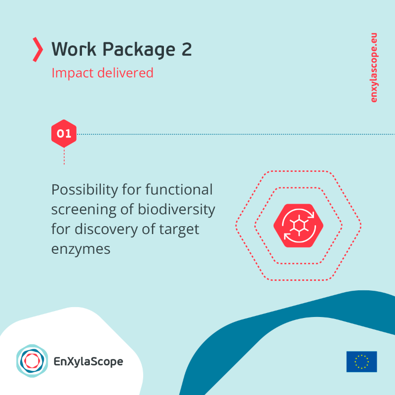 enxylascope's tweet photo. 🧪 «Discovery of xylan debranching #enzymes» is our #WorkPackage 2️⃣.
Find out here the impact delivered by this #WP developed throughout the last 18 months. 👇
Know more about #EnXylaScope:
https://t.co/4QWmyidu9y
@CORDIS_EU
