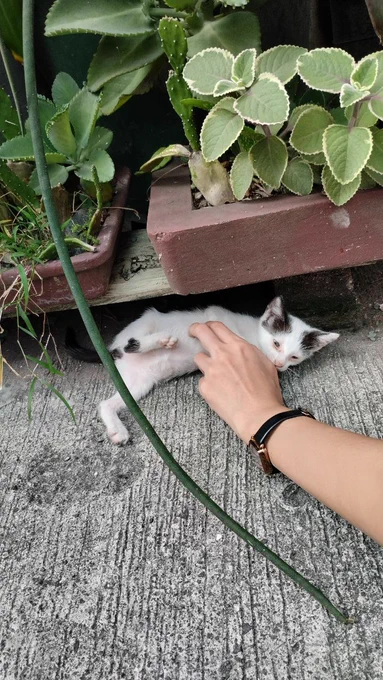 spotted a babie!!