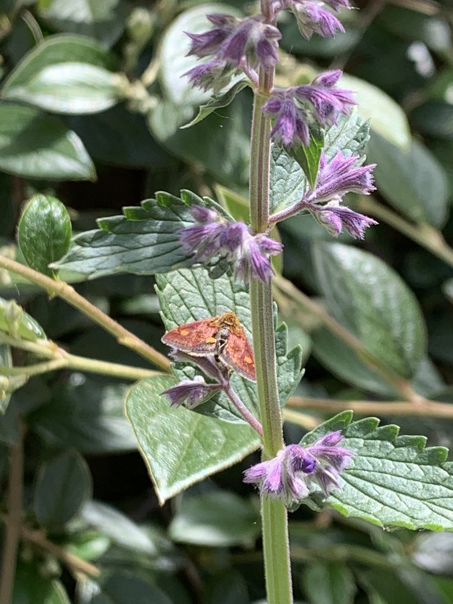 Alexander Bawden tweet media