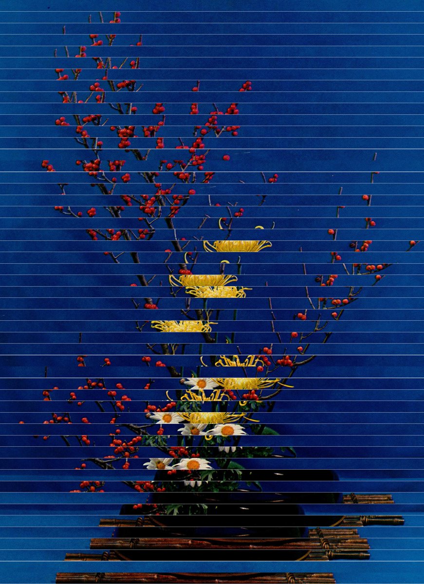 GM  

new series, 'cut flowers'  

we can consider collage a physical act of 'post-photography' - source imagery is deconstructed, then reconstructed, presenting us with an impression of what it once was. 

An inqury into still-life.  

I am so excited to continue extending on