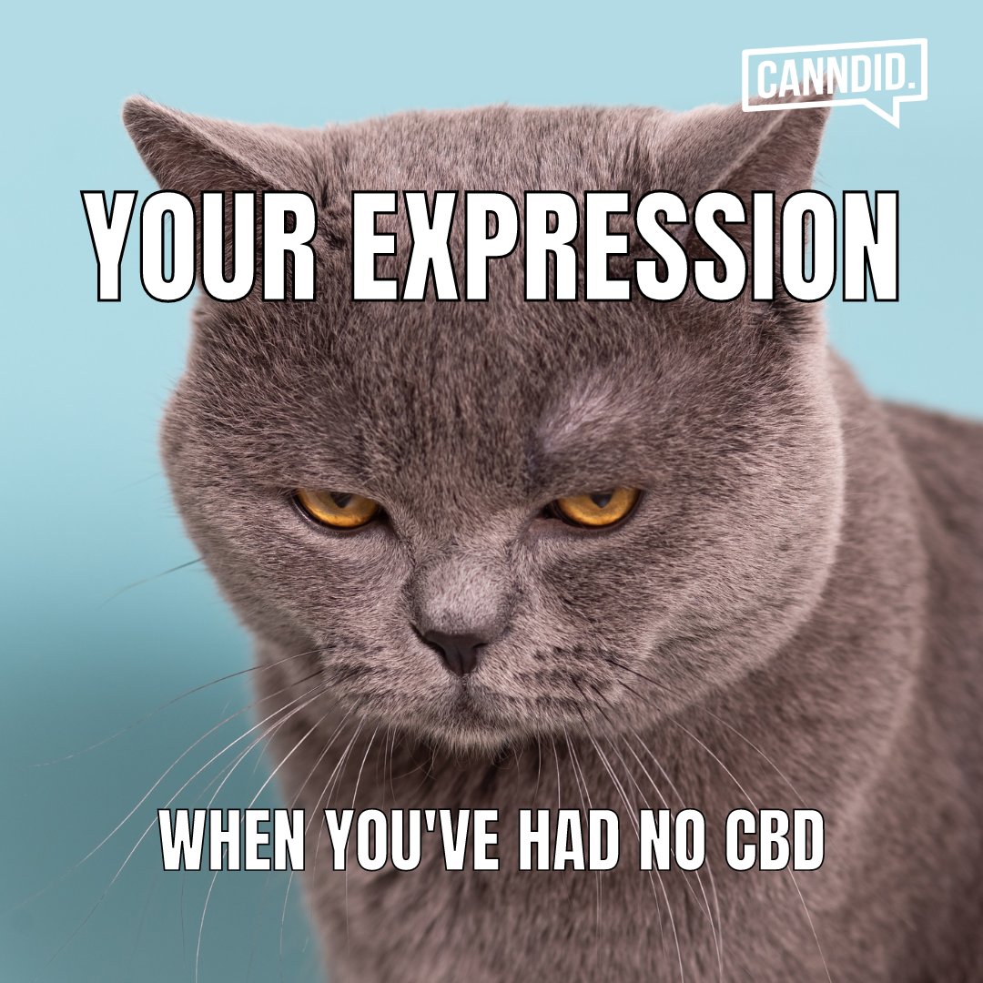 Canndid UK tweet media