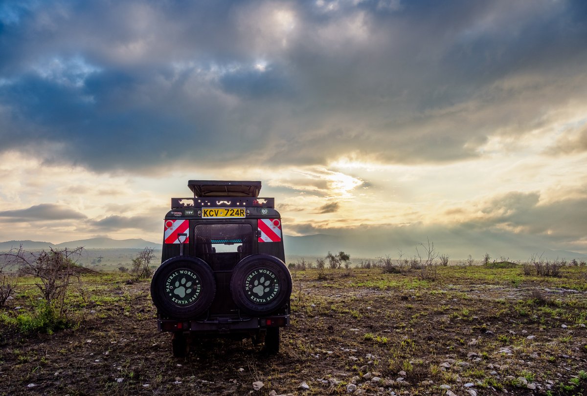 Let the golden hues of a sunset paint your memories on a remarkable 4x4 safari drive. 🌅🚗 Experience the thrill of adventure as you explore the untamed wilderness and encounter magnificent wildlife up close.🦒#SunsetSafari #kenya  #sunset #WildernessWonders #adventure #wildlife