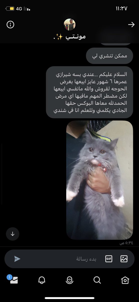 toffeelk's tweet photo. شير يخوانا ماحكلفكم حاجة🙏🏻. https://t.co/WFlO4MfwoK