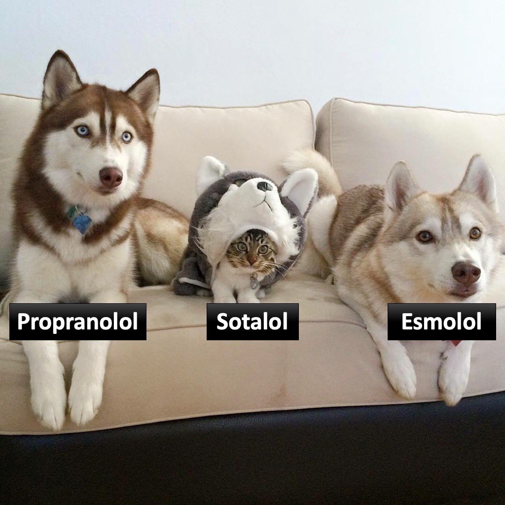 simplify_drugs's tweet photo. Class II antiarrhythmics be like: there is an impostor among us https://t.co/5LLElT9gi7