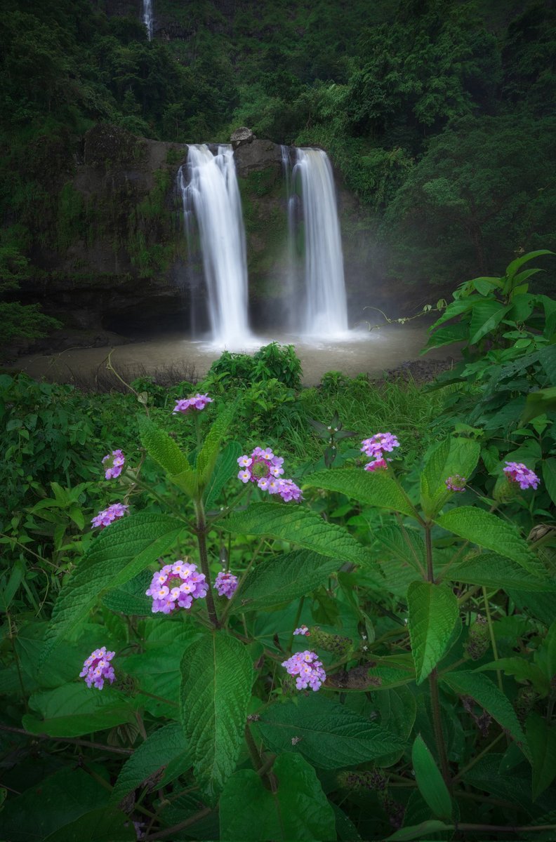 ChandraChung's tweet photo. Curug Sodong 💦

📍Sukabumi. Indonesia 🇮🇩 https://t.co/YpiaSPp6zF