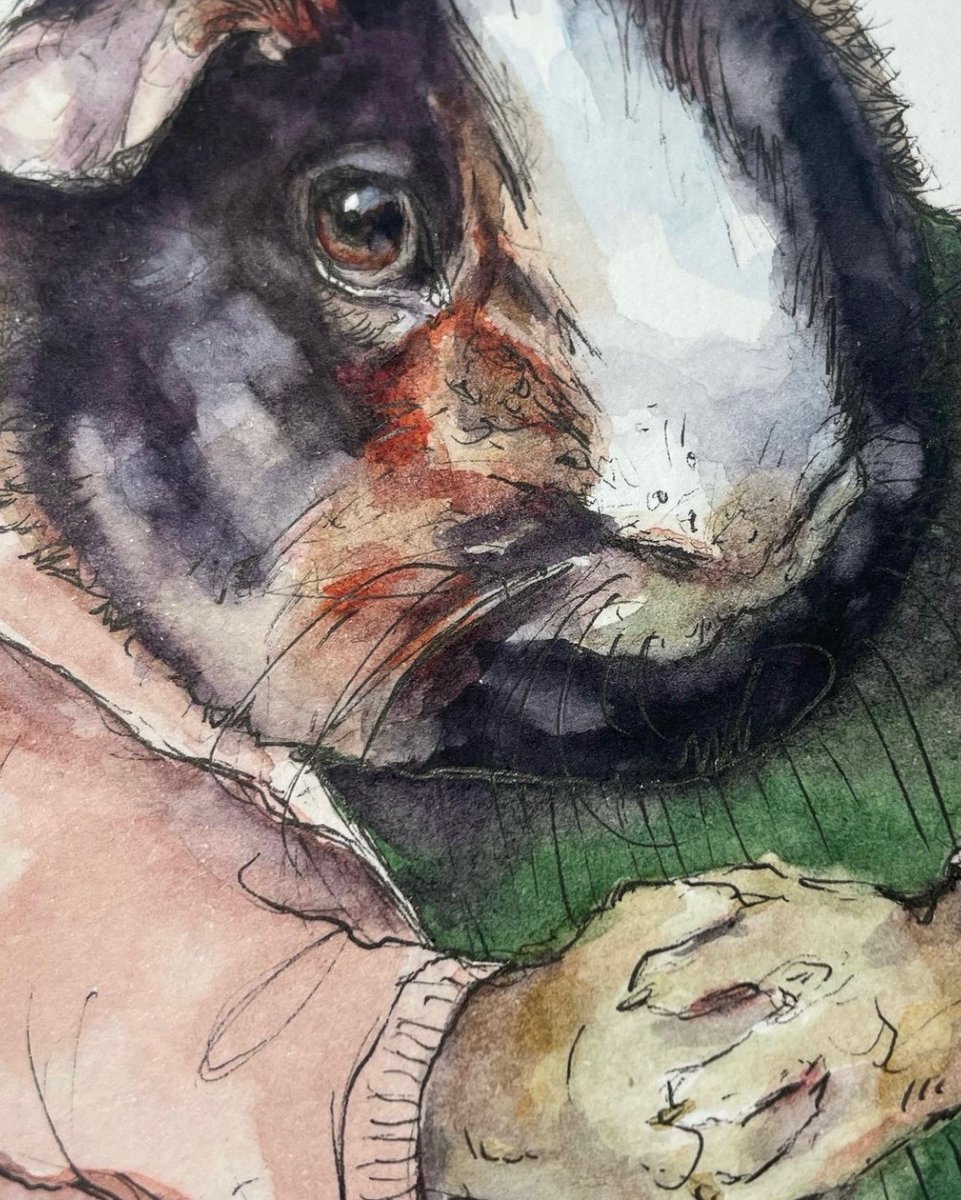 LydiaMcC414141's tweet photo. Meet Frank - he likes old planes, war memorabilia, and a good cup of tea ☕️. 

Original is 17cm(h) x 13cm(w) 

#illustration #animals #guineapigs https://t.co/m3yXx5osoN