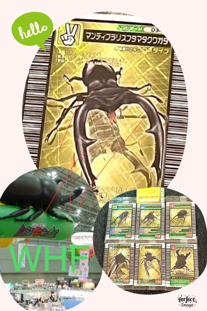 ムシキング 5周年「マンディブラリスフタマタクワガタ（ハードコーティング）」 ムシキング 5周年 ハードコーティングカード Amazon.co.jp: ムシキング