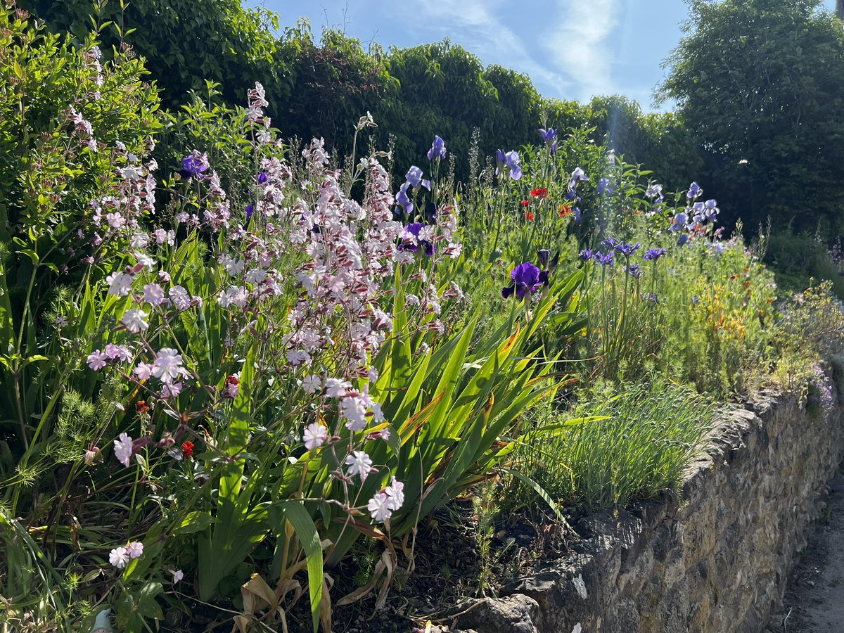 WMNature's tweet image. Ryarsh Lane @west_malling #westmalling looking as wonderful as ever!