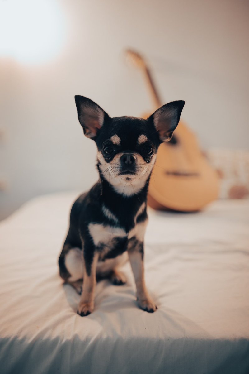 “FOTOS DE FAMILIA” ya está en la calle.
❤️🎤🔥🌻🥊

Escúchalo aquí: 
open.spotify.com/album/3JqqNRyC…