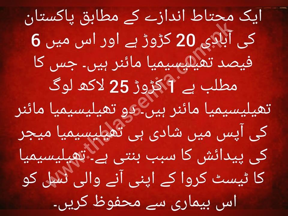 FAiTh_Pakistan's tweet image. International Thalassemia Day
Awareness Month - Day 29🇵🇰

#itd2023 #thalassemia #faithpk #tif #awareness #educationmatters #pakistan