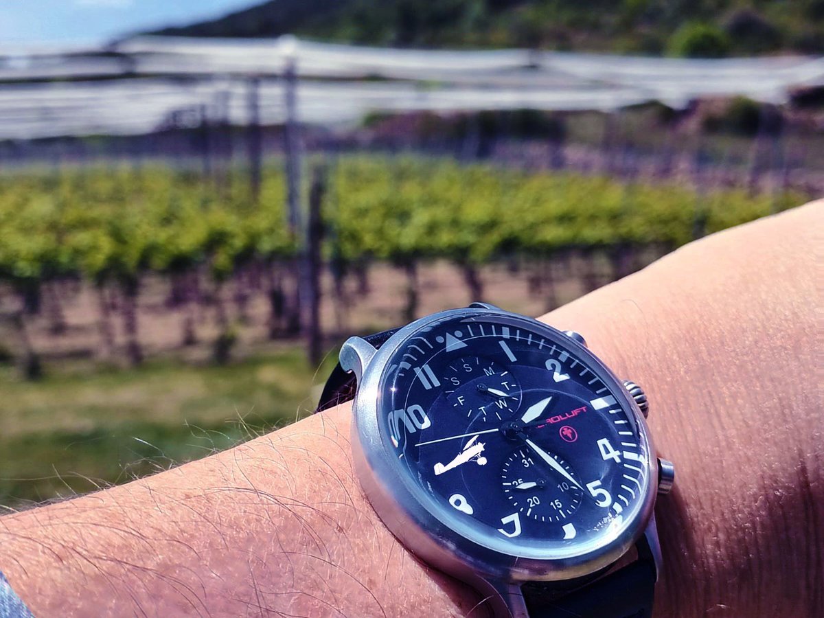 aeroluft's tweet photo. Barbenuta vineyards in Biescas. They are the highest in the Iberian Peninsula at 1300m above sea level.
.
#watch #pilot #AEROLUFT #fliegeruhr #orologio #wristwatch #reloj #montre #watches #pilotwatch #relojes #montres #uhren #modauomo #modahombre #orologi #vintagewatches https://t.co/O7GcRgKosa
