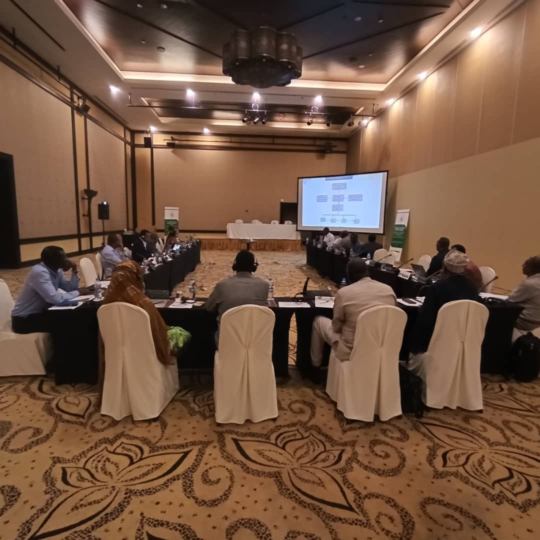 IGAD Drought Disaster Resilience Initiative tweet media