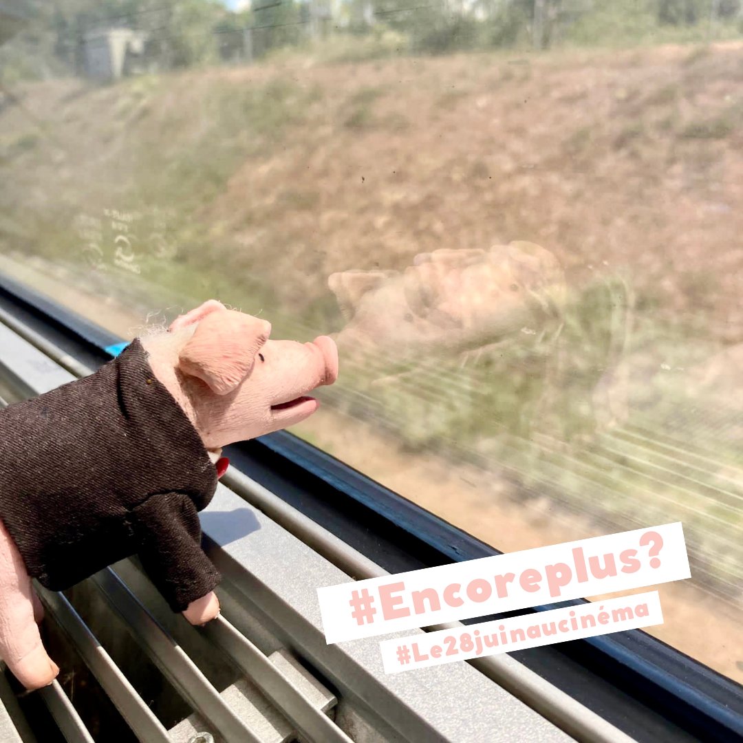 thejokersfilms's tweet image. [10/10]
#Encoreplus ? 
Mon histoire à découvrir #Le28juinaucinéma. 🐷