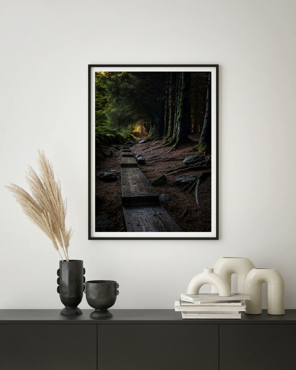 fotofactoryie's tweet photo. Our Forest Way print adds an earthy and calming vibe to any room, providing a bit of relaxtion among the hustle and bustle of daily life 🧘‍♂️ ☯️ 
#forestprint #fotofactory #wallart #homedecor 

----------------------------------------
Design

'Forest Way'

https://t.co/bPCggrAkBw https://t.co/vk0CN2tkO9