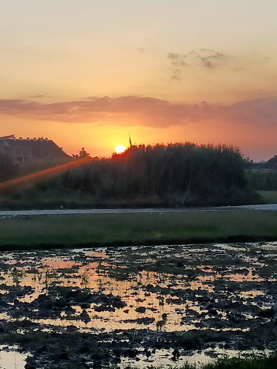 butter cup Bali🇮🇩🇯🇵 tweet media