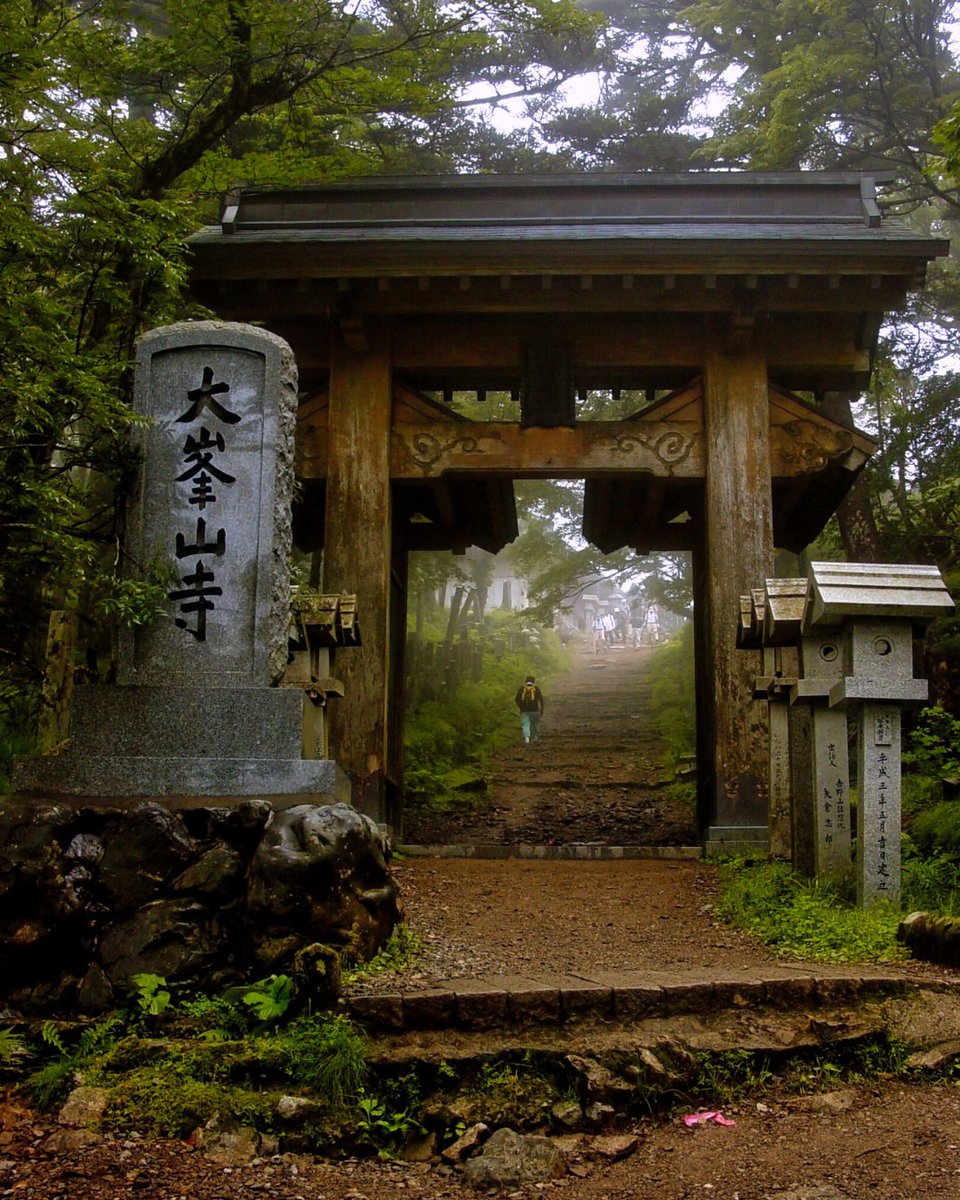 donnyjkimball's tweet photo. There are the sides of Nara that you know and then there are the ones that you don’t… https://t.co/CPciXfwb7I