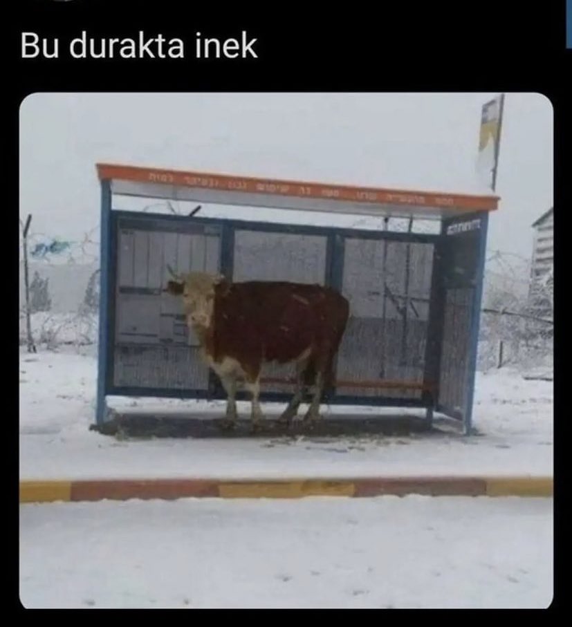 Ne bir eksik ne bir fazla bu benim mizah