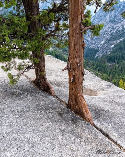 Life finds a way

Two tenacious cedar trees tryly living at the edge, Nevada Falls, Yosemite

[📹 Mark Camp: buff.ly/3WI9GkD]