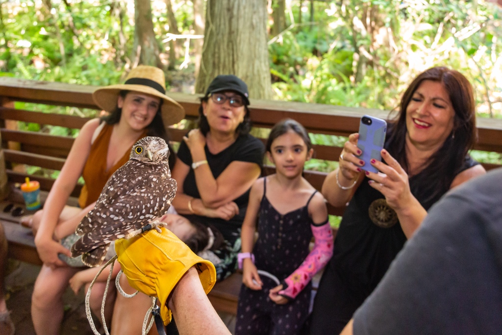 BuschWildlife's tweet photo. We are open regular hours to day,10am - 4:30pm!
Come walk our naturally shaded nature trails and visit the animal ambassadors who make Busch Wildlife so special.
#jupiterflorida #wildlifesanctuary #nonprofit #animalsanctuary #memorialday #whattodoinflorida #lovethepalmbeaches https://t.co/vBNHm8wTS6