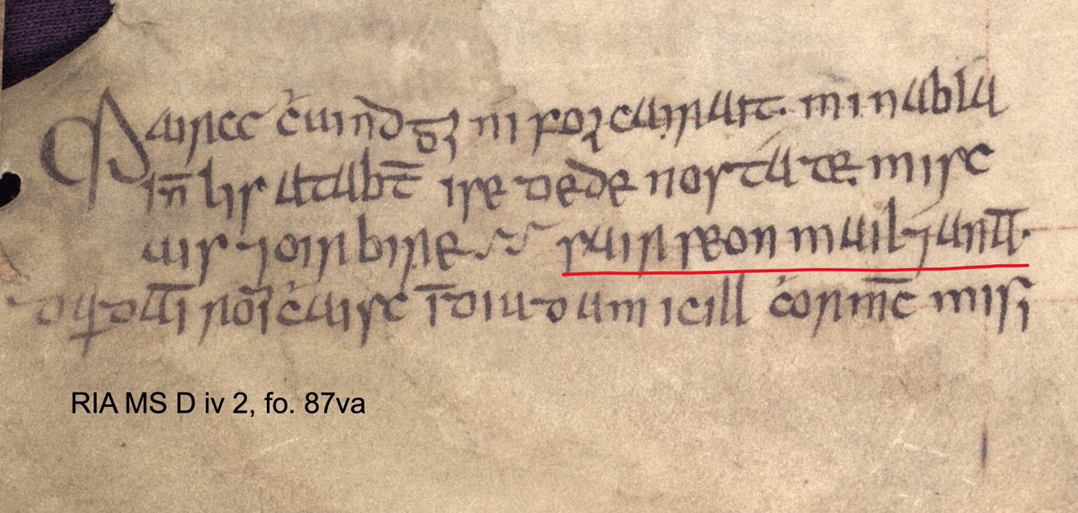 eDIL_Dictionary's tweet photo. In a 15thC manuscript which contains the story of the Quest for the Holy Grail, an Irish scribe signed his name as ‘Sir Seán Mailéadanan’ (Sair Seon Mailéadanan)
He seems to have been copying titles given to the Knights of the Round Table! ⚔️
#DateoftheDay https://t.co/GdXD7oVmA3
