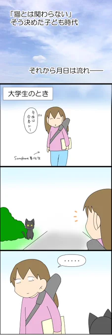 猫アレルギーとして生きてきたけど、猫アレルギーじゃなかった話③ 