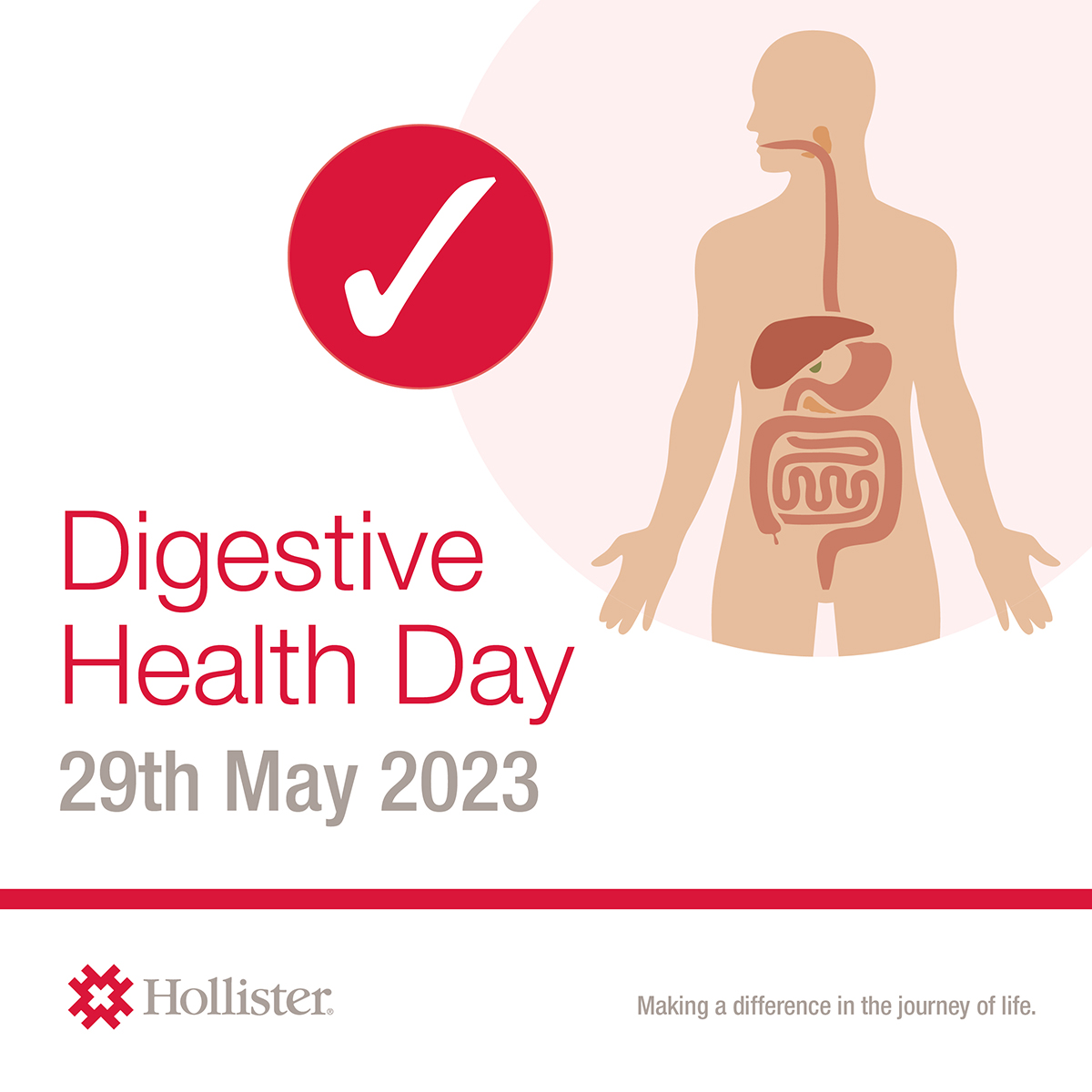 HollisterInc's tweet photo. Today is World Digestive Health Day!

Our website has a variety of learning materials that can help you learn how to help improve your digestive system's health. 

To learn more, visit https://t.co/VdukgA5sna.

#WDHD2023 #YourDigestiveHealth https://t.co/28BLUNQzaa