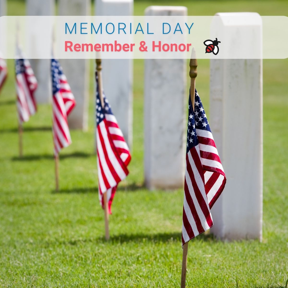 Ceras Health™ tweet media