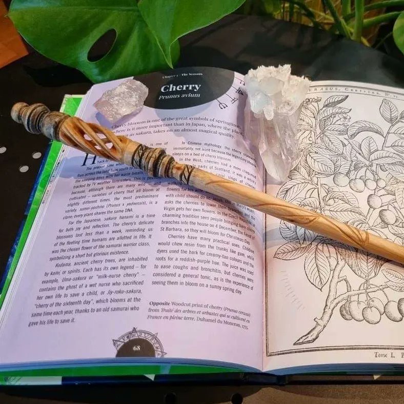 PuffCastPod's tweet image. A wand made by Roy for Mel:

"The true match for a Morello tree wand, is an owner who is good at heart, faithfull and wise with the ability to use the power this wand obtains. It is representative of good fortune, new beginnings and revival."