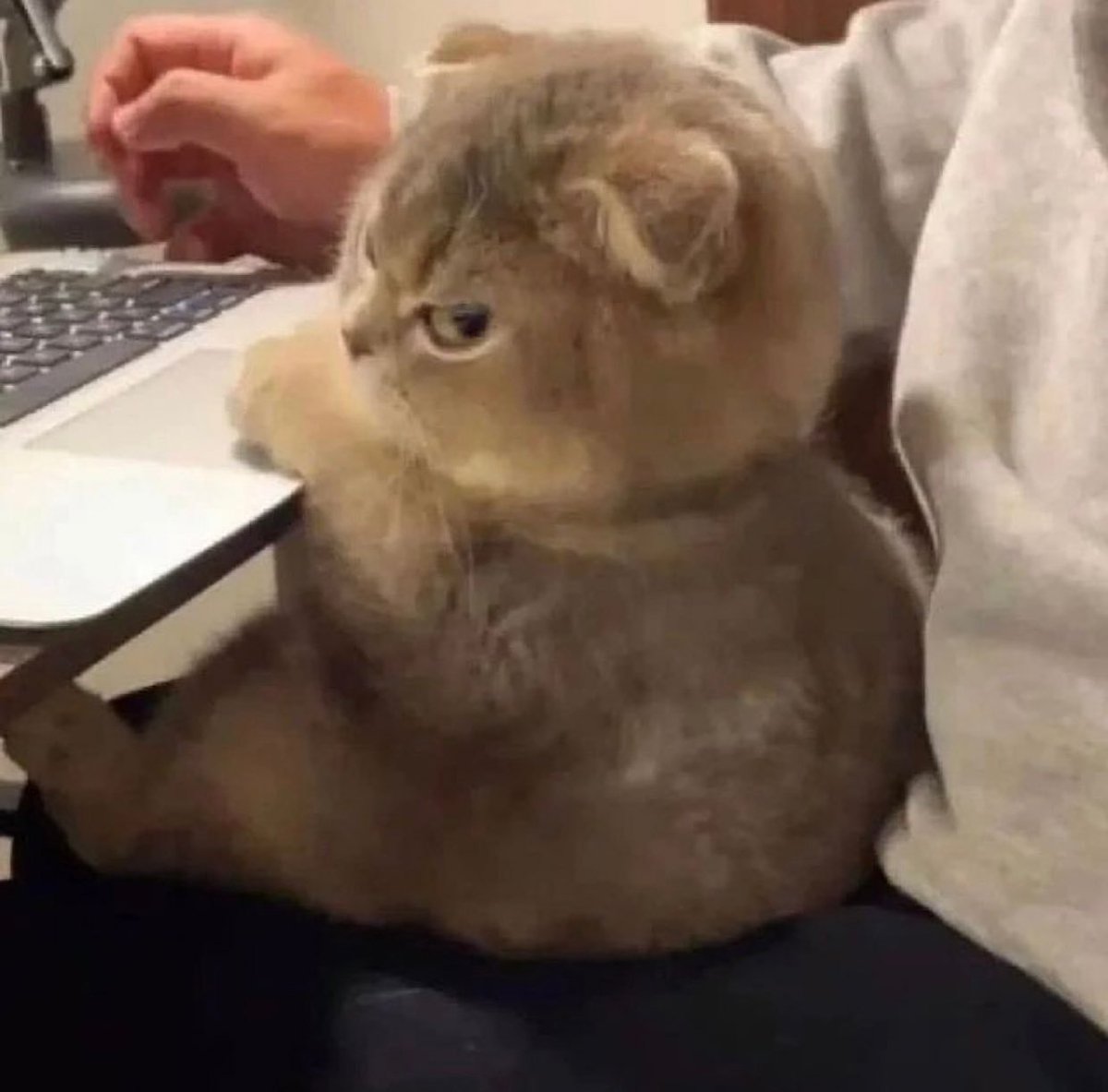 وين الأجواء حلوة