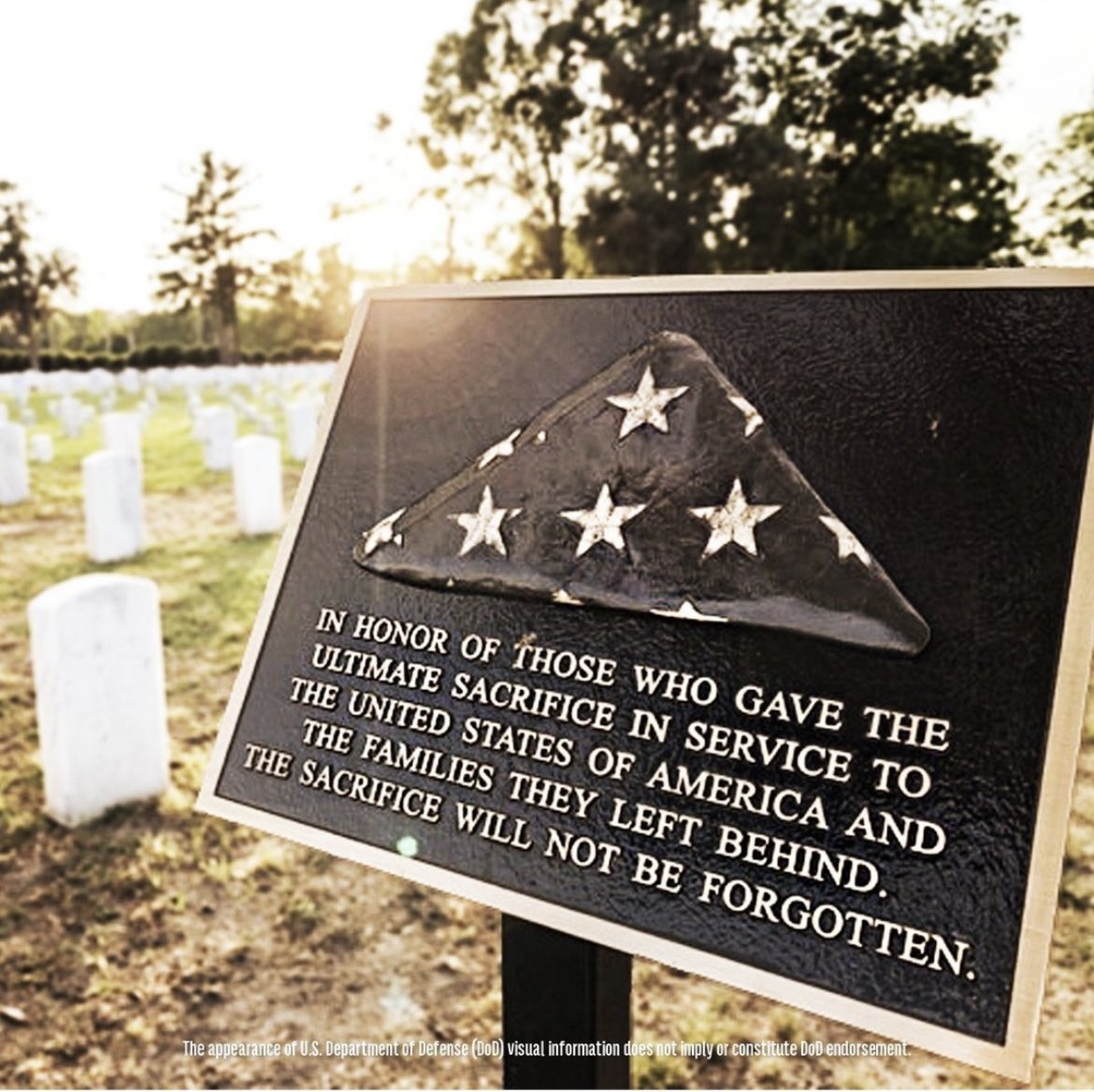 SynShineSvcs's tweet image. Have A Meaningful Memorial Day.