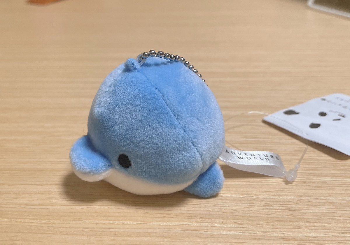 お姉ちゃんがお土産くれた。短い。 https://t.co/dLQEDwXTL9