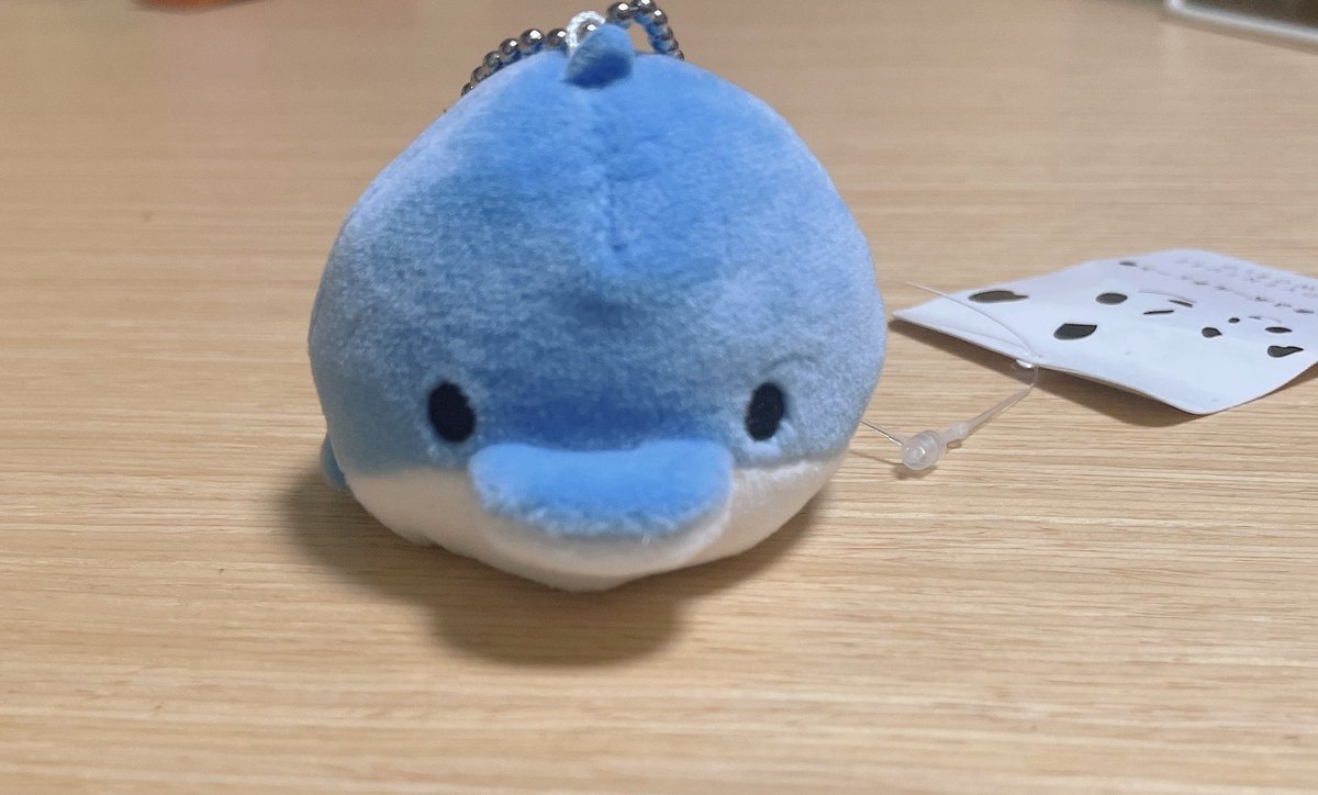 お姉ちゃんがお土産くれた。短い。 https://t.co/dLQEDwXTL9