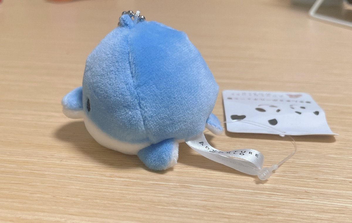 お姉ちゃんがお土産くれた。短い。 https://t.co/dLQEDwXTL9