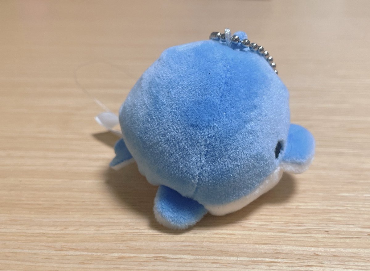 お姉ちゃんがお土産くれた。短い。 https://t.co/dLQEDwXTL9