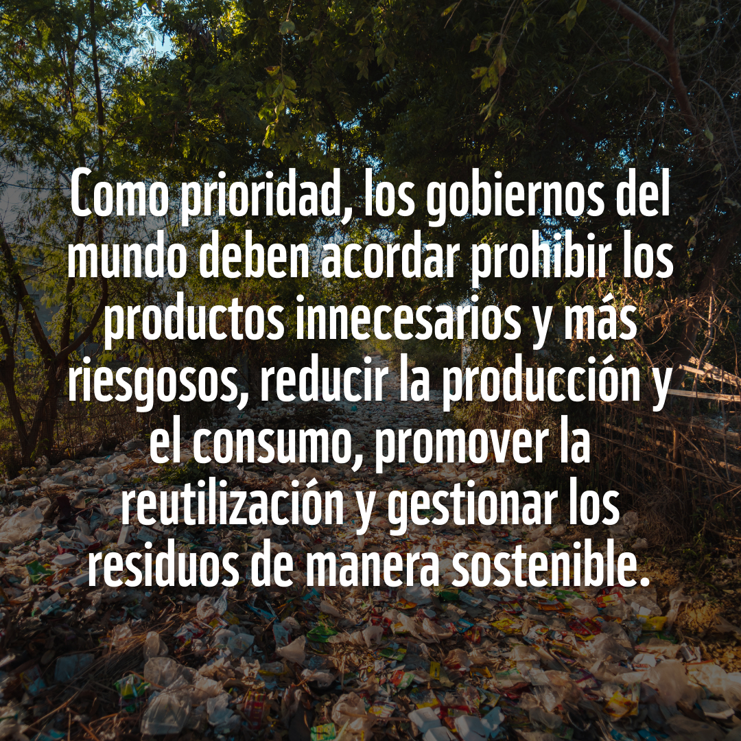 WWFespana's tweet photo. Hoy en Paris se está negociando un futuro #TratadoGlobalSobrePlásticos para acabar con los plásticos que ahogan el planeta. 
Una oportunidad única para lograr que los Gobiernos conviertan el plástico más perjudicial en historia 🐳🐋💪
Comparte este post para difundir el mensaje. https://t.co/H3p278QIaa