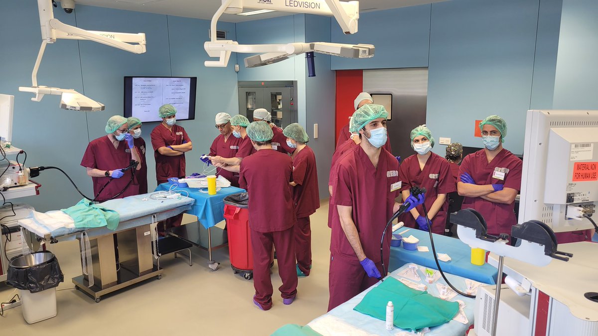 En marxa el curs pràctic anual que organitzem des de la <a href="/EQuirurgica/">ENDOSCOPIA MÉDICO QUIRÚRGICA</a> al <a href="/creballeida/">CREBA</a>! 👊