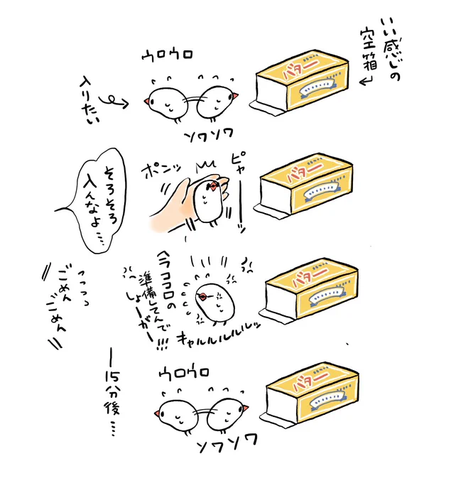 中々入らないぶんちょ