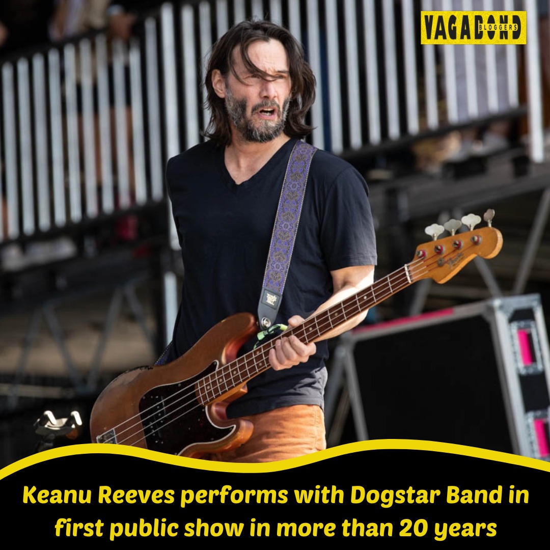 Vagabond Bloggers tweet media