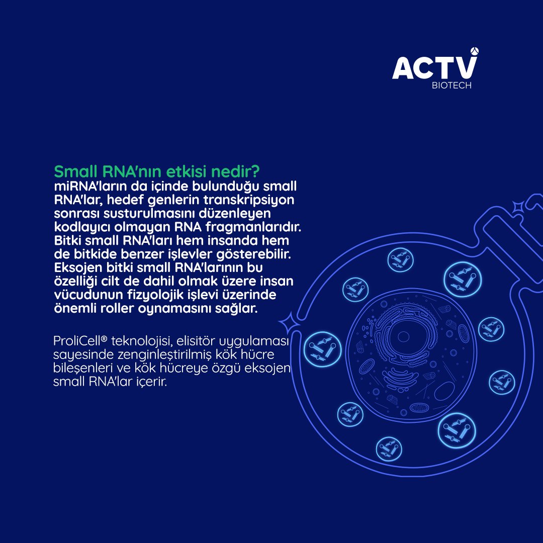 actvbiotech's tweet photo. Small RNA'nın etkisi nedir?

What is the effect of small RNA? 

https://t.co/5NcRR7SASB

#actvbiotech #aktifmadde #Bitki #Biyoteknoloji #Plant #Biotechnology #science #bilim #planttechnology #arge #biotechnologyresearch #invitrotest #invitroscience https://t.co/4ruUoiA66O