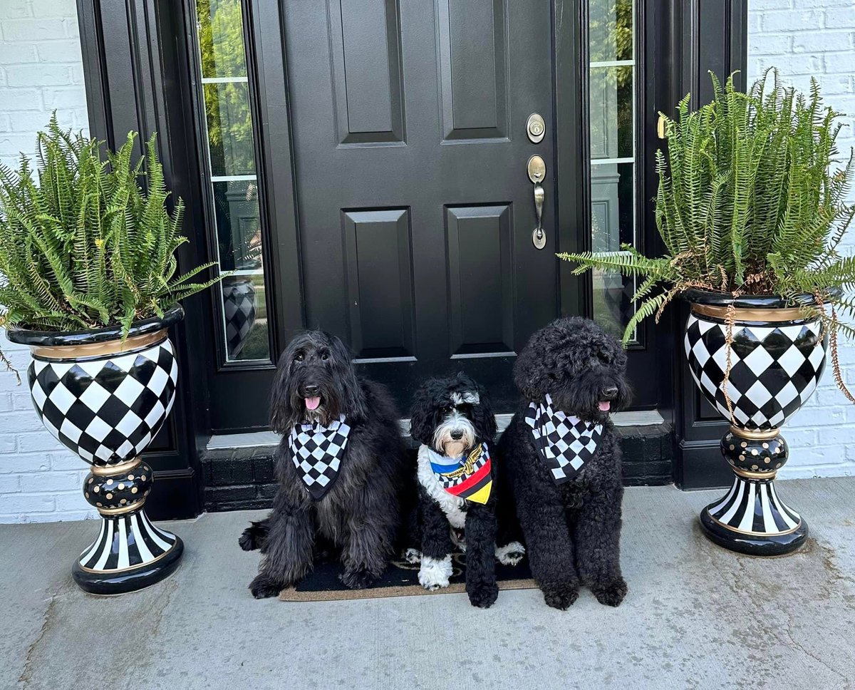 Happy Memorial Day 🇺🇸🐾 <a href="/Ben_Hodgin/">Ben Hodgin</a>