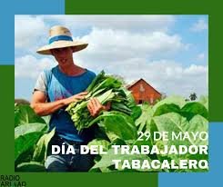 Felicitamos a los trabajadores tabacaleros quienes celebran hoy su día en honor al inolvidable líder de la clase obrera cubana, Lázaro Peña, a quien recordamos en el aniversario 112 de su nacimiento. #Cuba #CubaViveEnSuHistoria