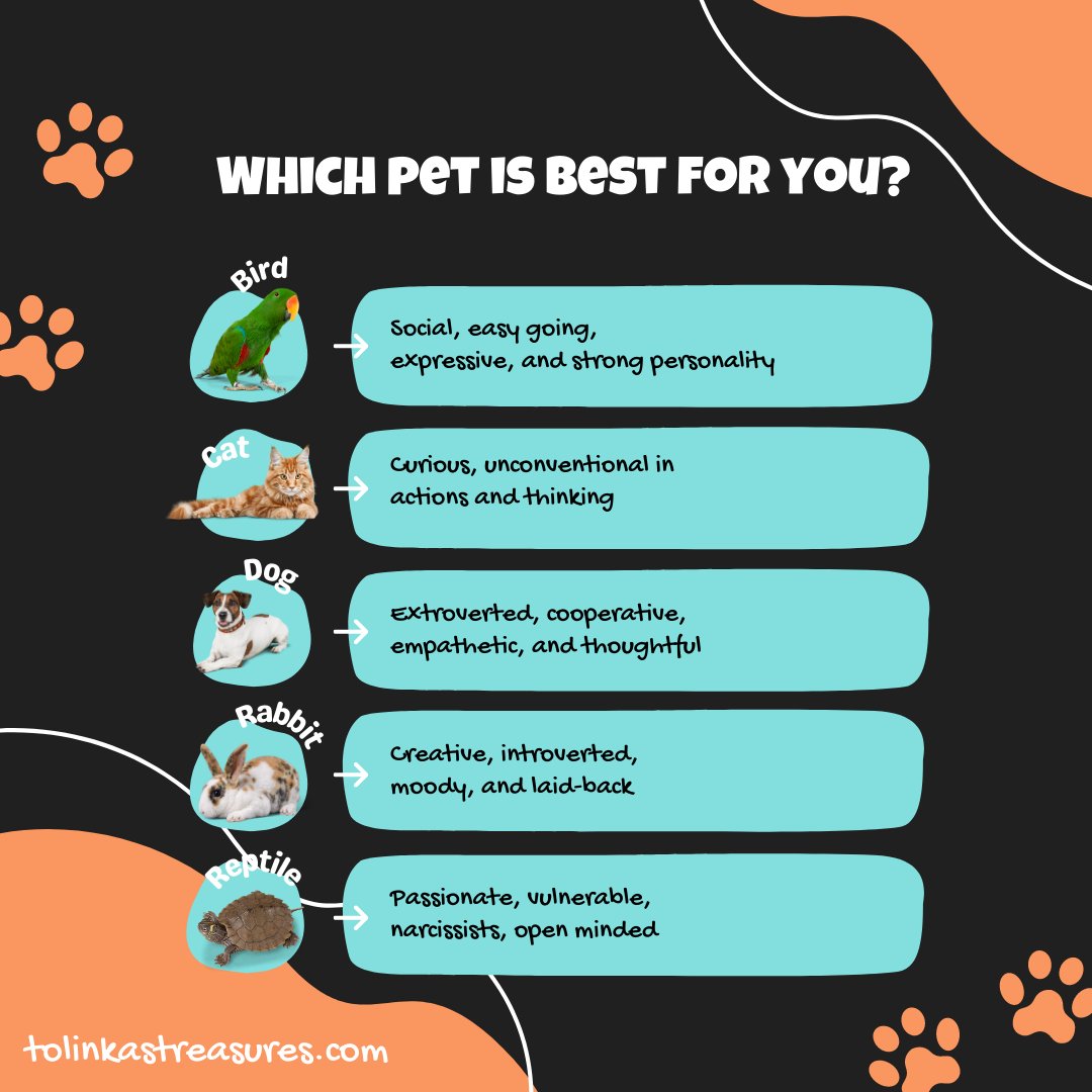 Choosing the right pet is a big decision. Here are a few things to consider.
.
.
𝐒𝐡𝐨𝐩 𝐍𝐨𝐰: tolinkastreasures.com
.
.
#tolinkastreasures #petaccessories #petshop #pettoys #smallbusiness #petsupplies #petstore #petproducts #petelectronics