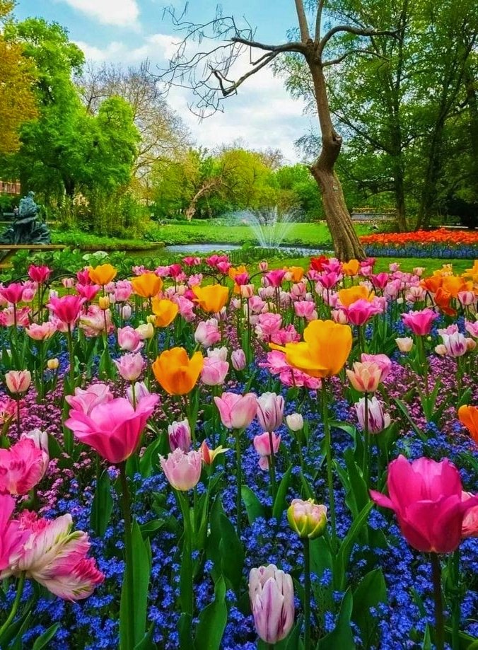 ANGELES 💚☘️🌷 tweet media