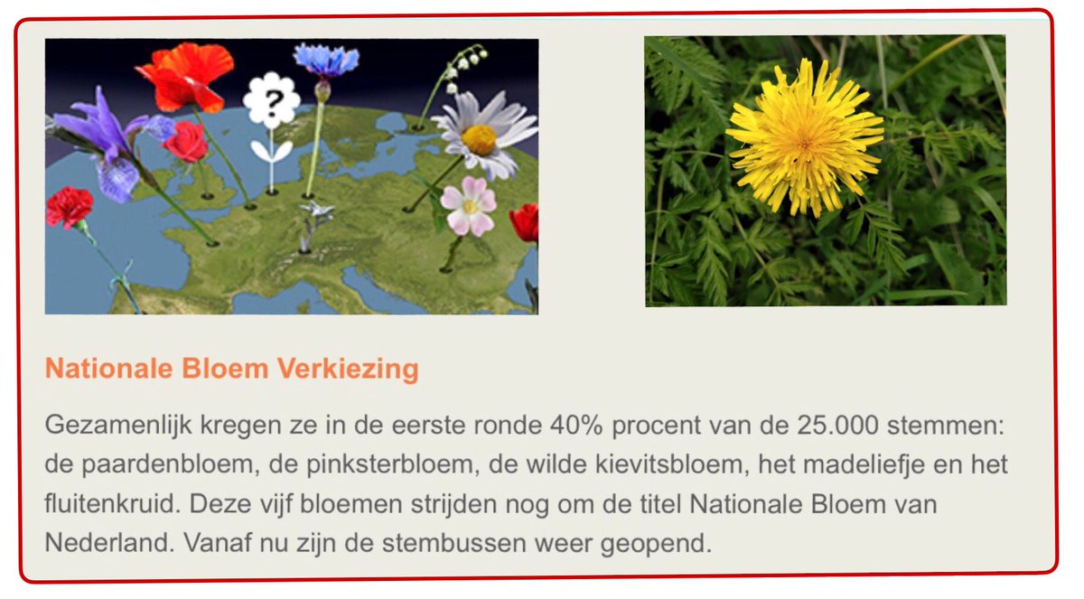Vergeet niet te stemmen voor 2  juni 2023!
nationalebloem.nl