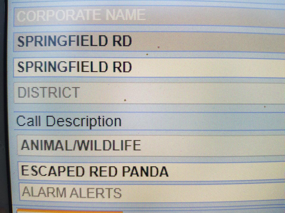 Not often <a href="/NewquayPolice/">Newquay Police</a> <a href="/NewquayResponse/">Newquay Police Response</a> get sent to an escaped Red panda from the local zoo which was found by newquay fruit sales.  Panda rescue is not a topic taught in police training yet! <a href="/CollegeofPolice/">College of Policing</a>