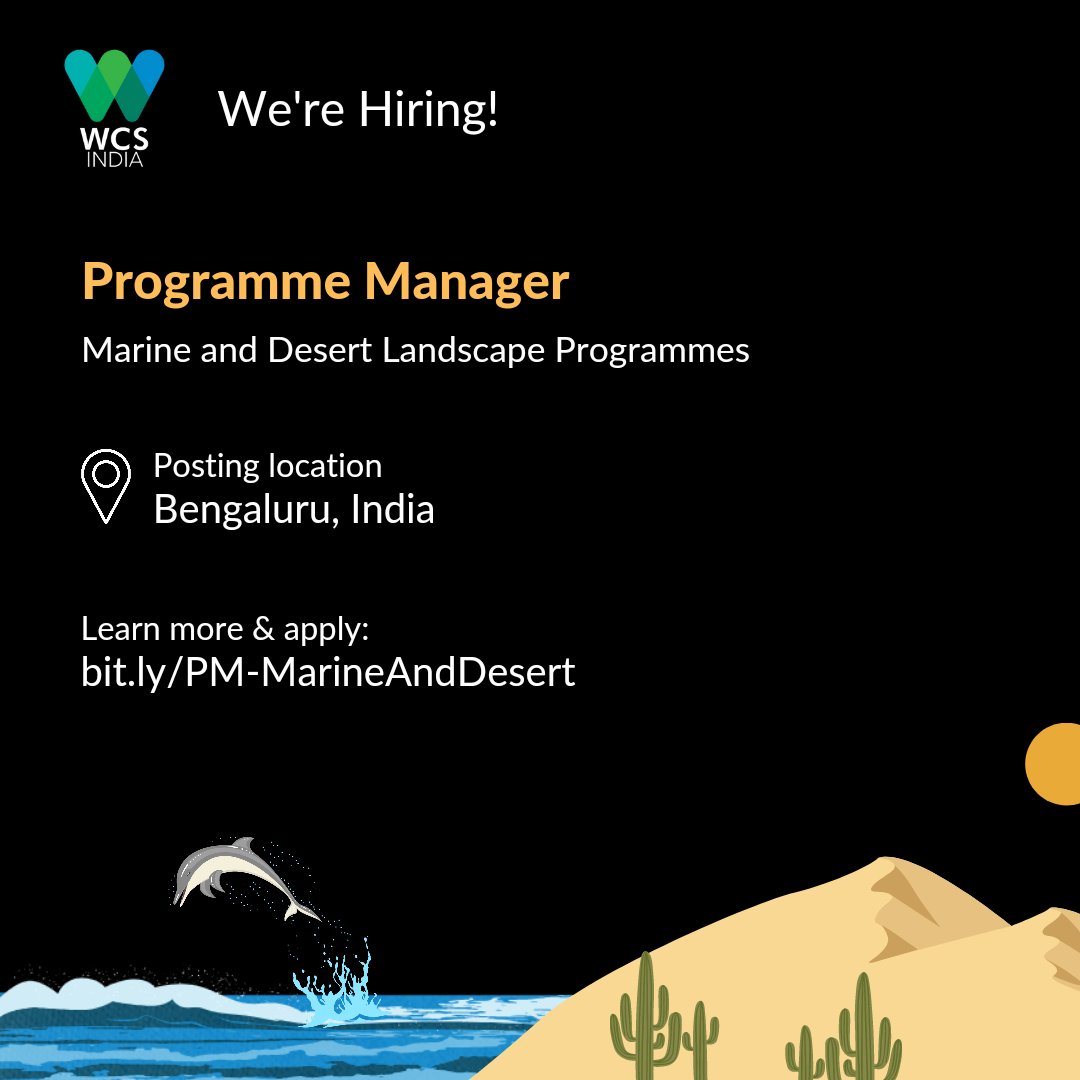 WCS-India is on the lookout for a passionate Programme Manager to lead our Marine and Desert Landscape Programmes! Join us and let's make waves in marine and dryland conservation! 🌊🌵 

Learn more and apply: bit.ly/PM-MarineAndDe…

#jobopportunities #wildlifejobs #greenjobs