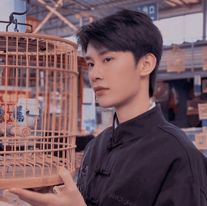 เงาวสันต์เด่นฉายยามพิรุณพัดผ่าน
