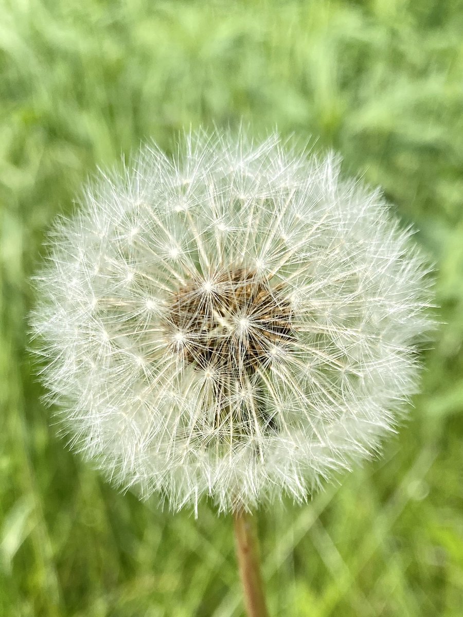 BlueJayWay tweet media