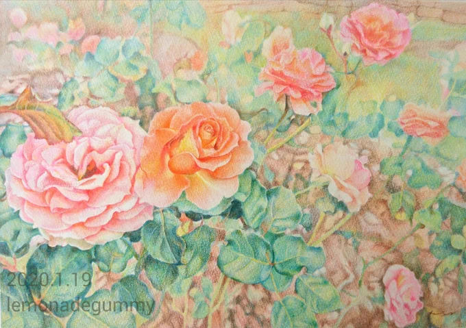 #これを見た人はバラの写真をUPする バラの作品たち