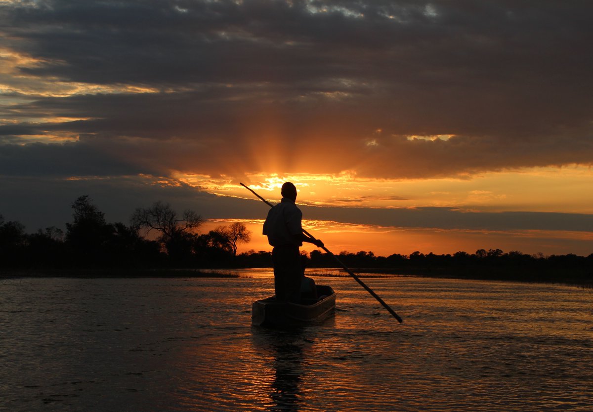 Tell us what your dream safari looks like and we will be delighted to create something especially for you...

liquidgiraffe.com

📷 Motswiri Private Safari Lodge